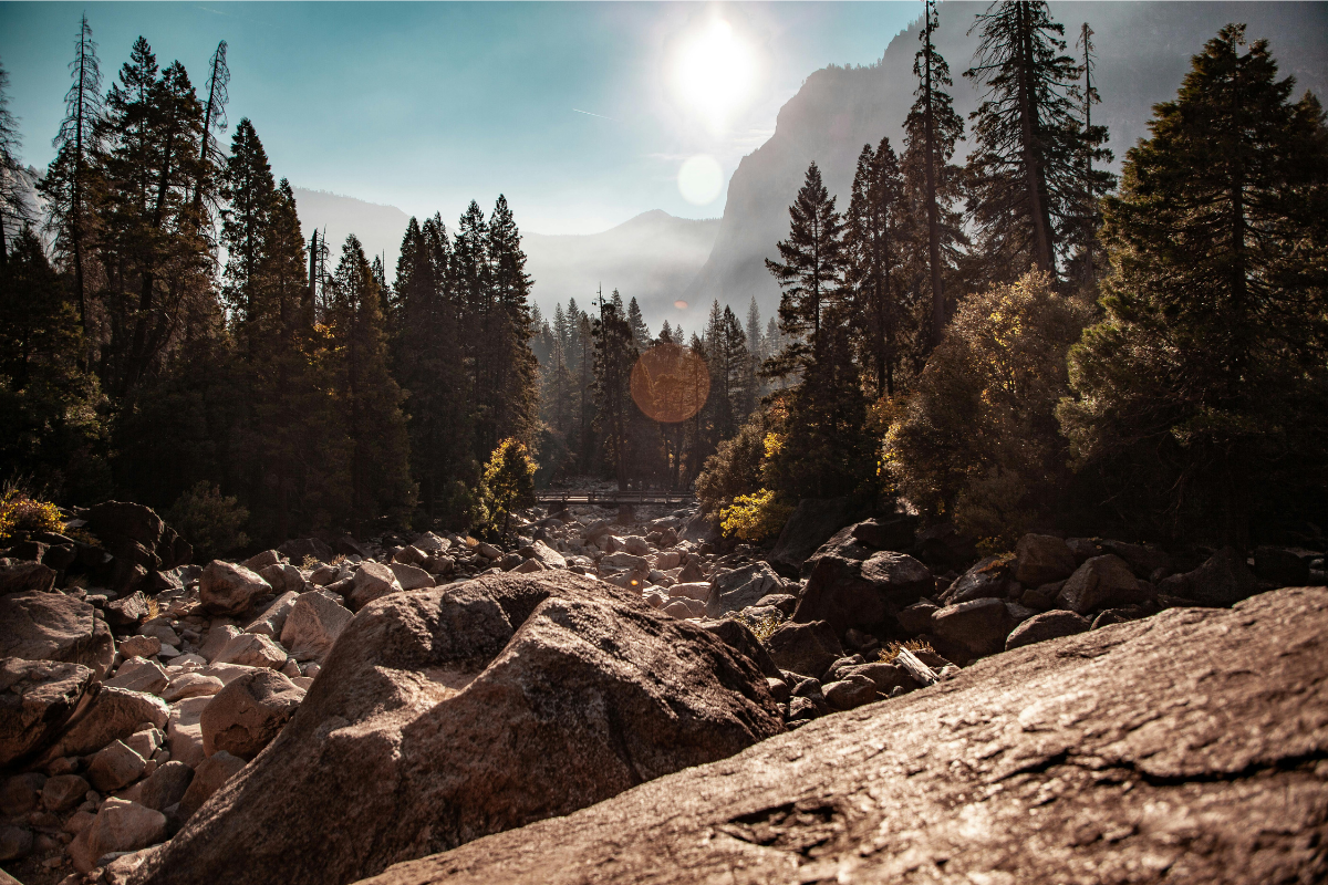 somatic therapy retreat