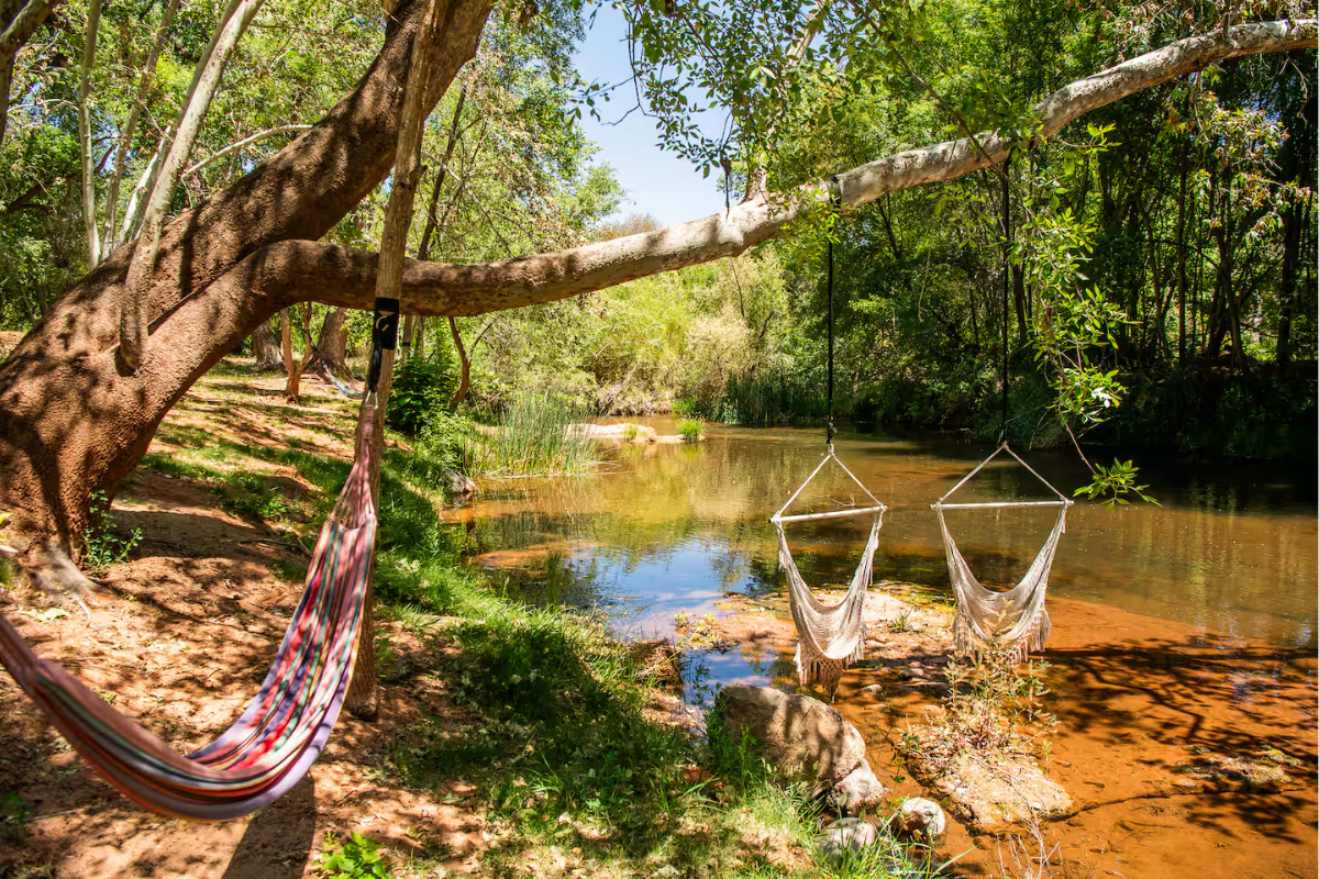 somatic therapy retreat