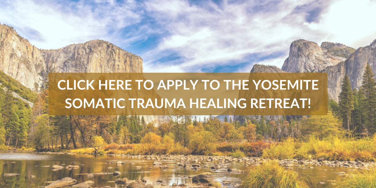 Somatic Therapy Retreat